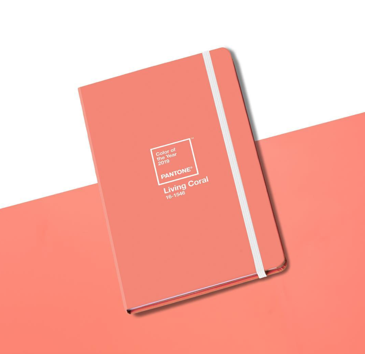 Pantone utser varm korall till årets trendfärg Pantone utser varm korall till årets trendfärg